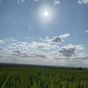 Meet your Posher, Colin